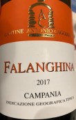 尼奥亚诺酒庄法兰娜白葡萄酒(Antonio Caggiano Falanghina Campania IGT, Campania, Italy)