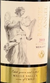 巴斯可天使梅洛珍藏紅葡萄酒(Basques Angel Merlot Reserva, Maule Valley, Chile)