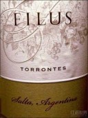 Torrontes, Mendoza, Argentina